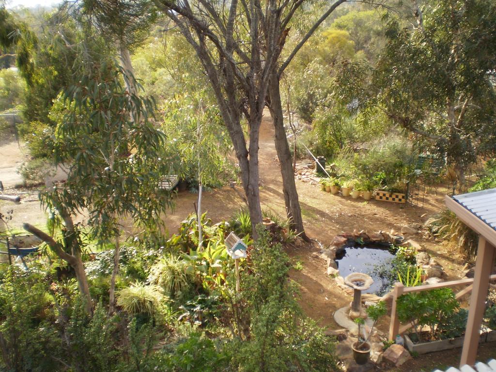 Bed and Breakfast Floravalley Toodyay Exterior foto