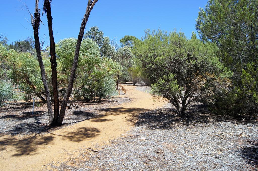 Bed and Breakfast Floravalley Toodyay Exterior foto